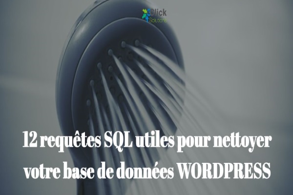 12 requêtes SQL utiles pour nettoyer votre base de données WORDPRESS